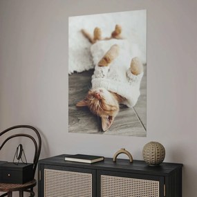 Plakat Leniwy kot 21x30 cm bez ramy bez marginesu ARTGEIST B