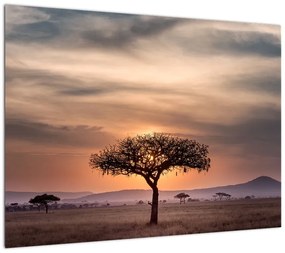 Obraz zachodu słońca w Tanzanii (70x50 cm)