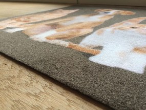 Wycieraczka Deco Star Kumple 50 cm x 80 cm