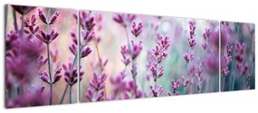 Obraz - Lawenda (170x50 cm)