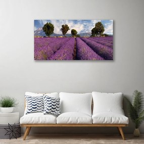 Zdjęcie na płótnie Sielska Polana z Drzewami