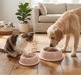 Kamionkowa miska dla czworonoga ø 16 cm – Casafina