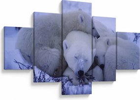 Obraz - Niedźwiadki polarne (125x70 cm)