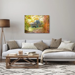 Obraz na szkle - staw (70x50 cm)