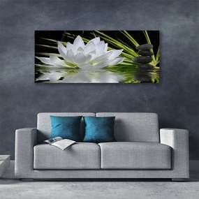 Obraz drukowany na płótnie Harmonijne Lilie na Stawie