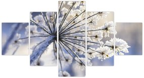 Obraz - Zamarznięty kwiat (125x70 cm)