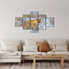 Obraz - Lis (125x70 cm)