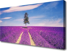 Fotoobraz na płótnie Lawendowe Pole pod Samotnym Drzewem