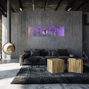 Obraz - Motyl w lawendach (170x50 cm)