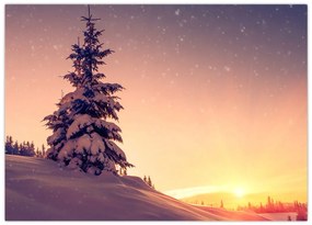 Obraz na szkle - ośnieżone drzewo na łące (70x50 cm)