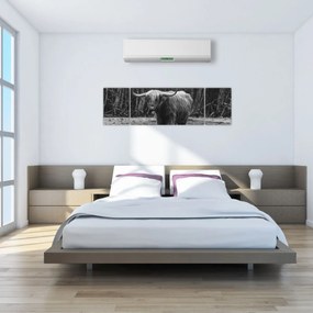 Obraz - Szkocka krowa (170x50 cm)