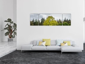 Obraz zielonego drzewa na środku pola (170x50 cm)
