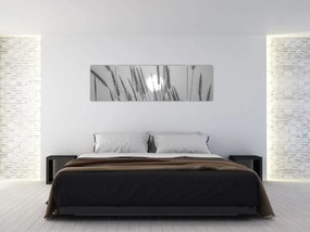 Obraz - Łąka o zachodzie słońca (170x50 cm)