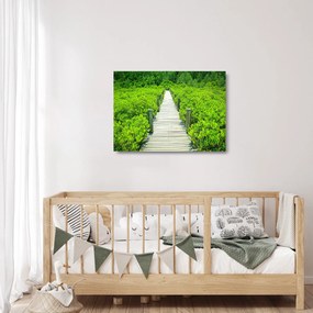 Obraz na szkle - drewniany chodnik (70x50 cm)