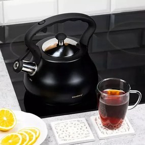 Czarny elegancki czajnik z gwizdkiem 2,7L 60cm R4-E57