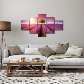 Obraz pola z lawendą (125x70 cm)