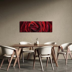 Obraz - Czerwona róża z kroplami rosy (z zegarem) (90x30 cm)