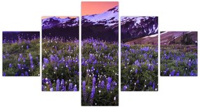 Obraz - Wulkan i kwiaty (125x70 cm)