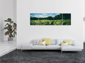 Obraz łąki i lasu (170x50 cm)