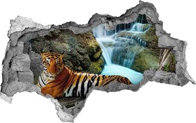 Dziura 3d fototapeta naklejka Tygrys wodospad