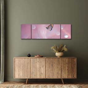 Obraz - Motylek (170x50 cm)
