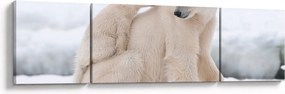 Obraz - Niedźwiedzie polarne (170x50 cm)
