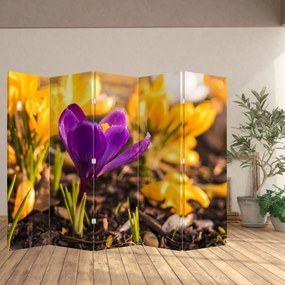 Parawan - Fioletowy kwiat (210x170 cm)