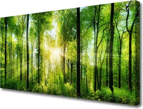 Fotoobraz na płótnie Ścieżka wśród Drzew