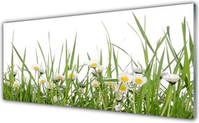 Panel Kuchenny Polana Pełna Stokrotek