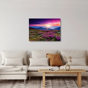 Obraz na szkle - Krajobraz kwitnących gór (70x50 cm)