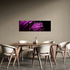 Obraz  - Kropla wody (z zegarem) (90x30 cm)