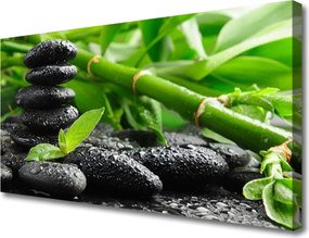 Fotoobraz na płótnie Zielona Świeżość Bambusa