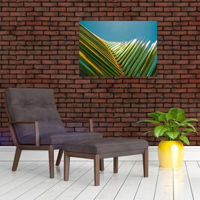Obraz - Detal liścia palmowego (70x50 cm)