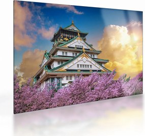 Obraz na szkle - Zamek Osaka (70x50 cm)