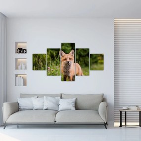 Obraz lisa (125x70 cm)