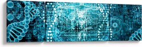 Obraz - Genetyka (170x50 cm)