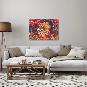 Obraz - Chryzantemy (70x50 cm)