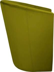 Fotel CLUB tkanina Welur elegancki fotel tapicerowany do salonu i gabinetu : Kolor tkaniny - VELVET - BL75