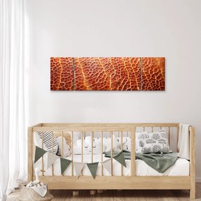 Obraz - Szczegóły tekstury (170x50 cm)