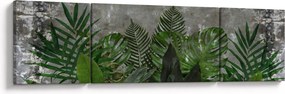 Obraz - Betonowa ściana z roślinami (170x50 cm)