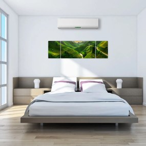 Obraz - Tarasy ryżowe Mu Cang Chai (170x50 cm)