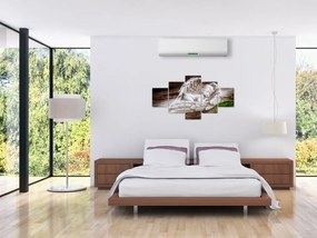 Obraz - Śpiący anioł (125x70 cm)