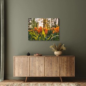 Obraz na szkle - kwiaty tulipanów (70x50 cm)