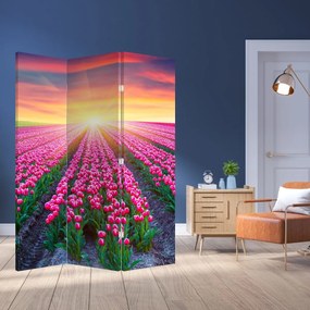 Parawan - Pole tulipanów ze Słońcem (126x170 cm)