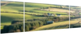 Obraz - Drewniana półka z krajobrazem (170x50 cm)