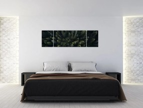 Obraz - Las (170x50 cm)