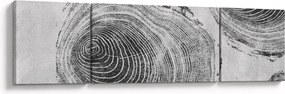 Obraz - Motyw drzewa (170x50 cm)