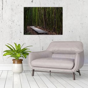 Obraz - Wśród bambusów (70x50 cm)