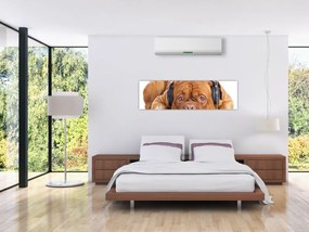 Obraz psa ze słuchawkami (170x50 cm)
