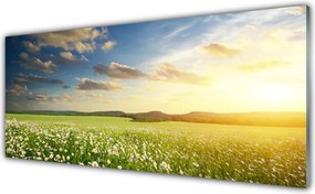 Panel Szklany Barwna Panorama Polnej Łąki